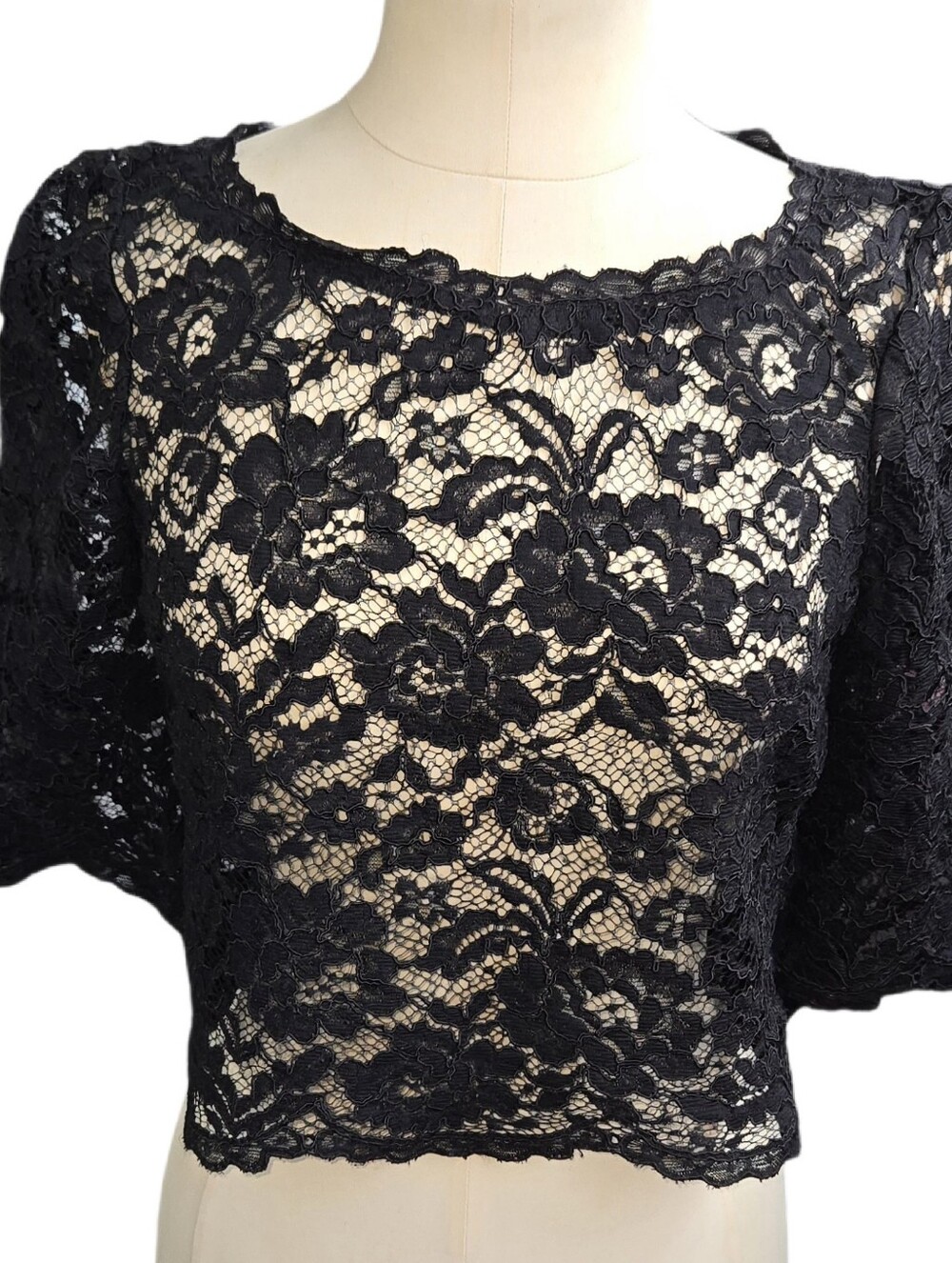 BEBE Silk Lace Crop Top